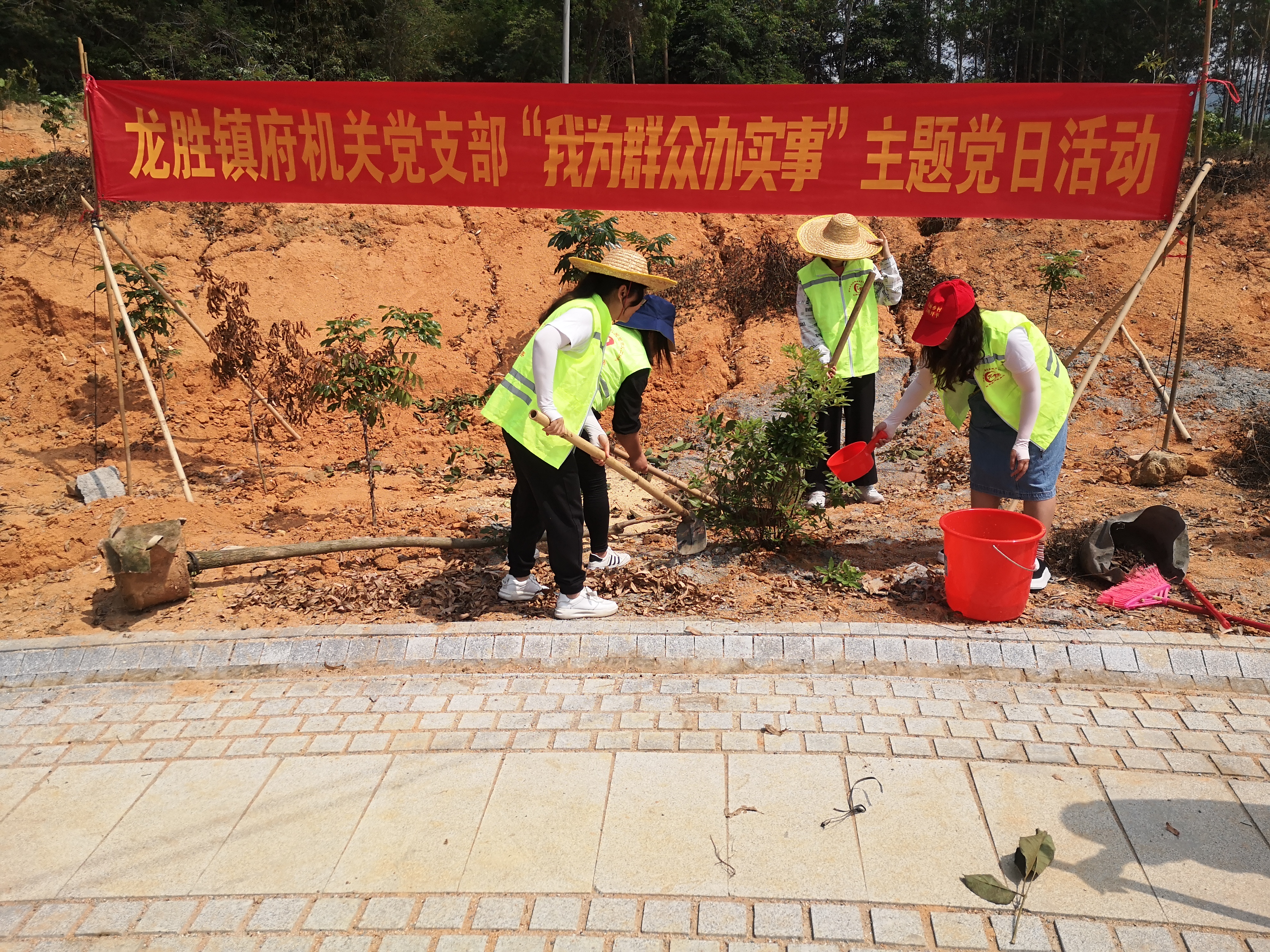 13“我為群眾辦實(shí)事 我為森林小鎮(zhèn)添新綠”植樹(shù)活動(dòng)2.jpg
