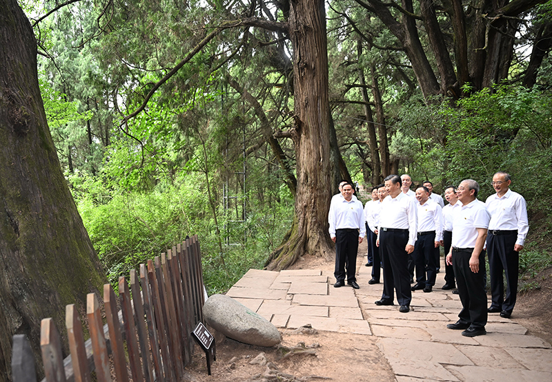 7月25日至27日，中共中央總書記、國家主席、中央軍委主席習(xí)近平在四川考察。這是25日下午，習(xí)近平在廣元市劍閣縣翠云廊考察。