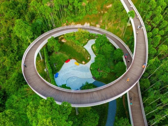 珠海紅花山森林公園。圖源：南方+ 
